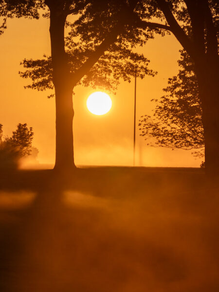 Sunrise